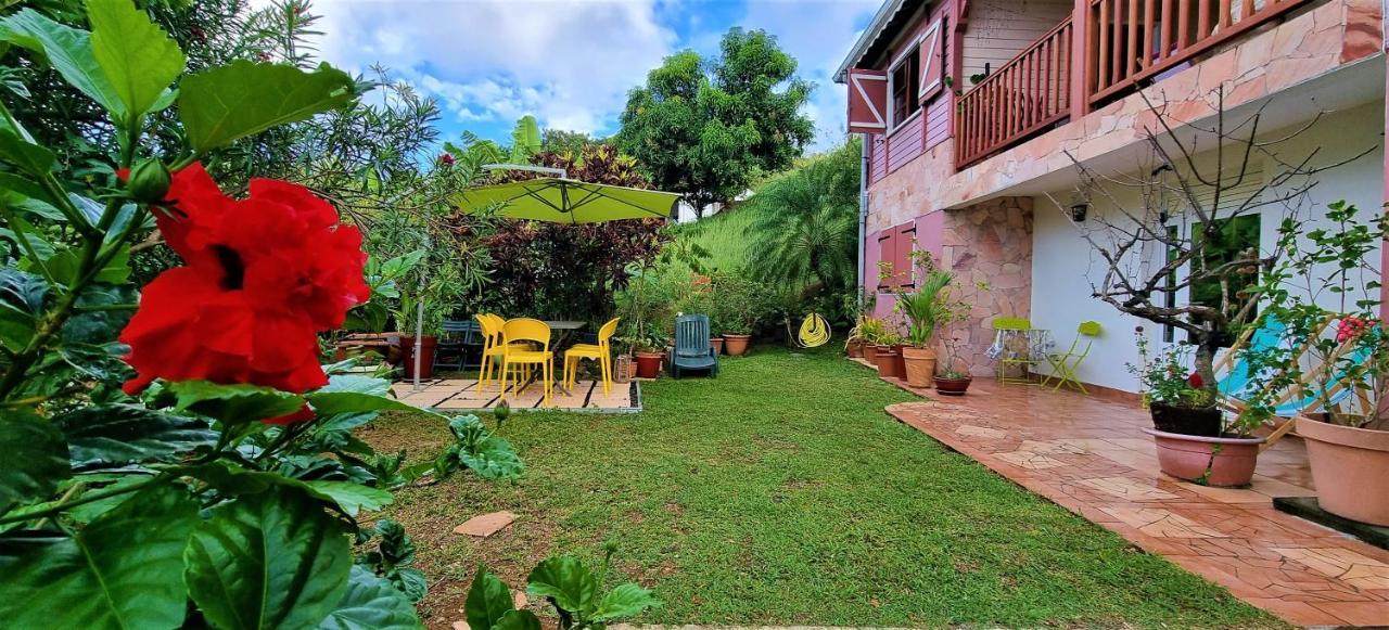 Rivière-PiloteLa Visite Tropicaleアパートメント エクステリア 写真